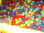 pulawy11_09