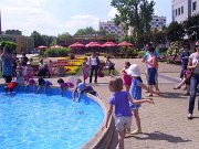 pulawy11_35