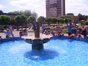 pulawy11_36